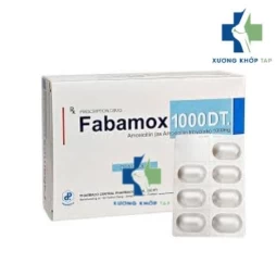 Fabamox 1000 DT